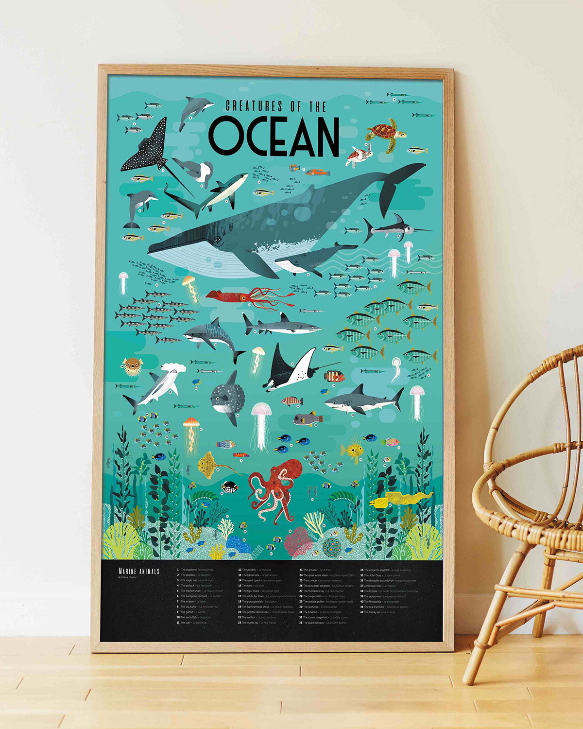 Poppik Discovery Oceans