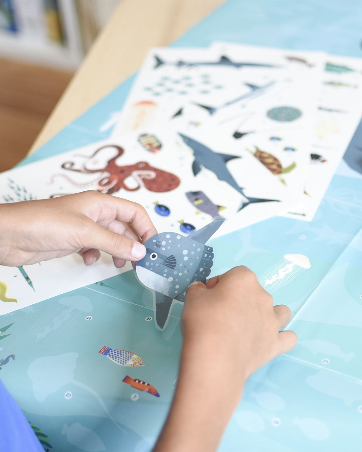 Poppik Discovery Oceans