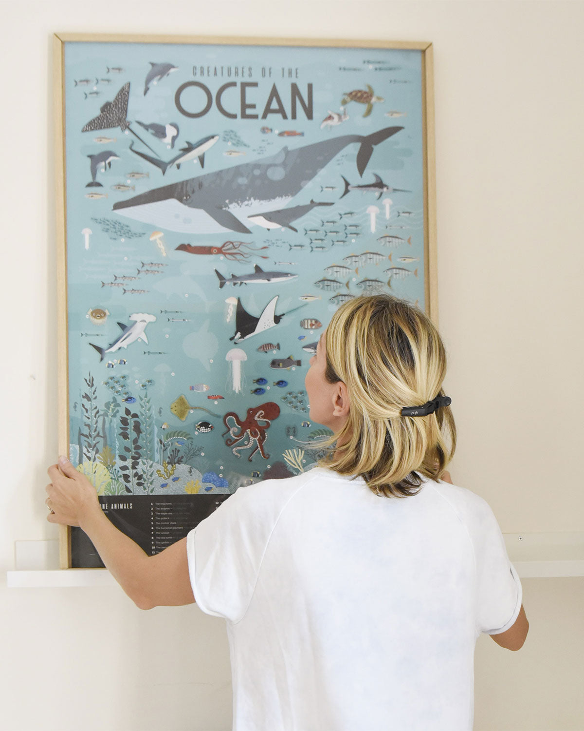 Poppik Discovery Oceans